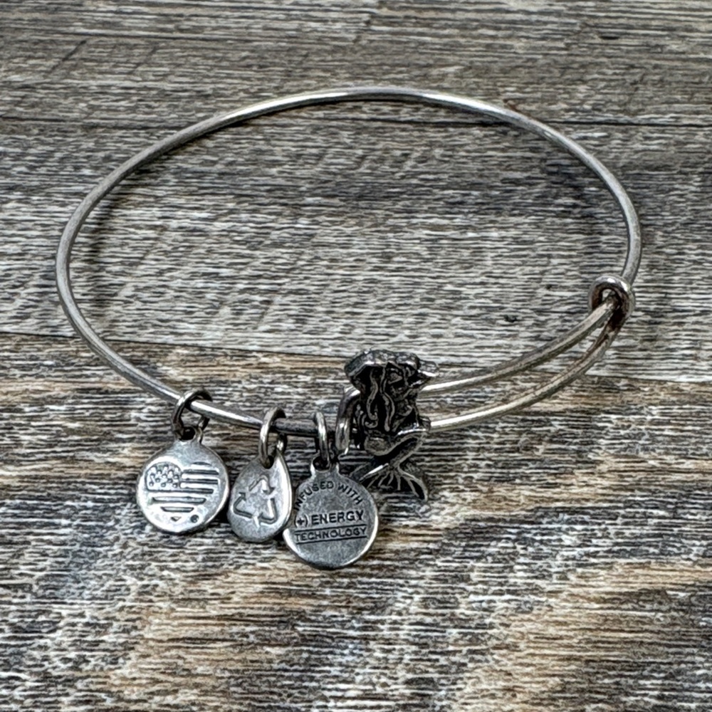 Alex and Ani Mermaid Charm Bangle – Rafaelian Silver Finish